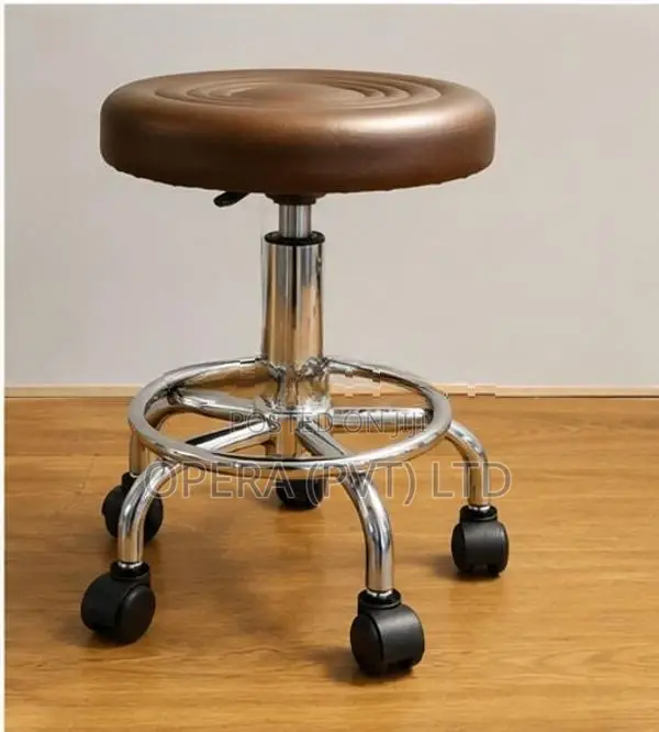 Adjustable Bar Stool