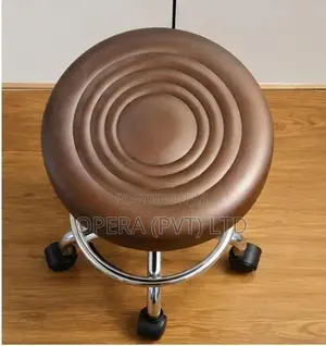 Adjustable Bar Stool