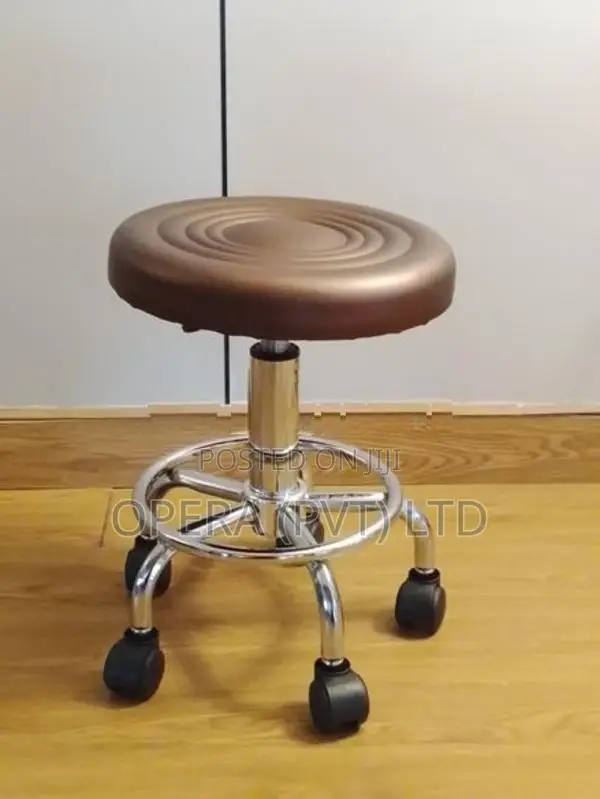 Adjustable Bar Stool