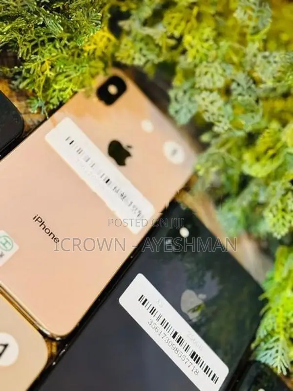 Apple iPhone XS 256GB (Used)