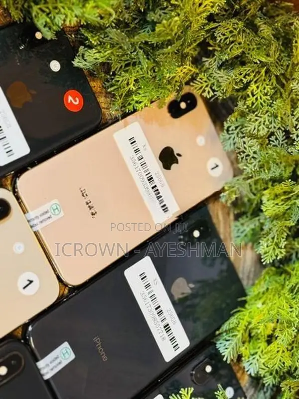 Apple iPhone XS 256GB (Used)
