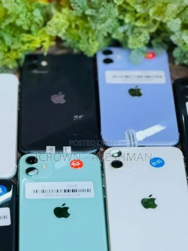 Apple iPhone 11 256GB (Used)