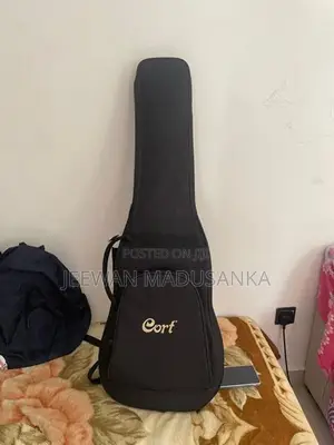 Electric Guitar