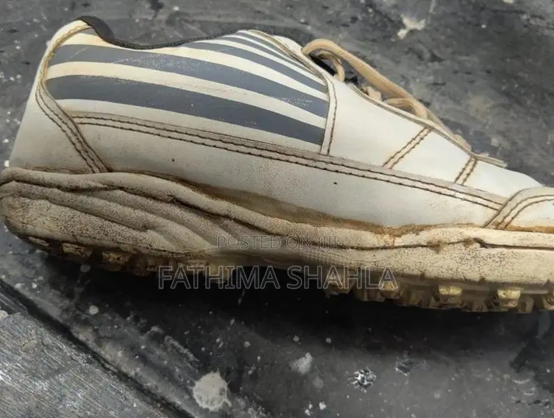 Cricket Shoe