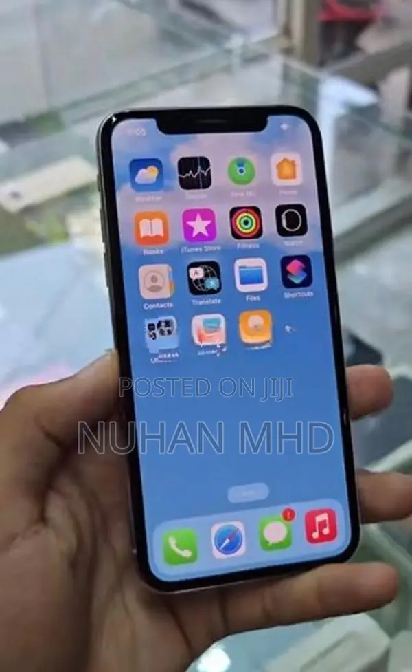 Apple iPhone X (Used)