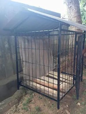Dog Cages