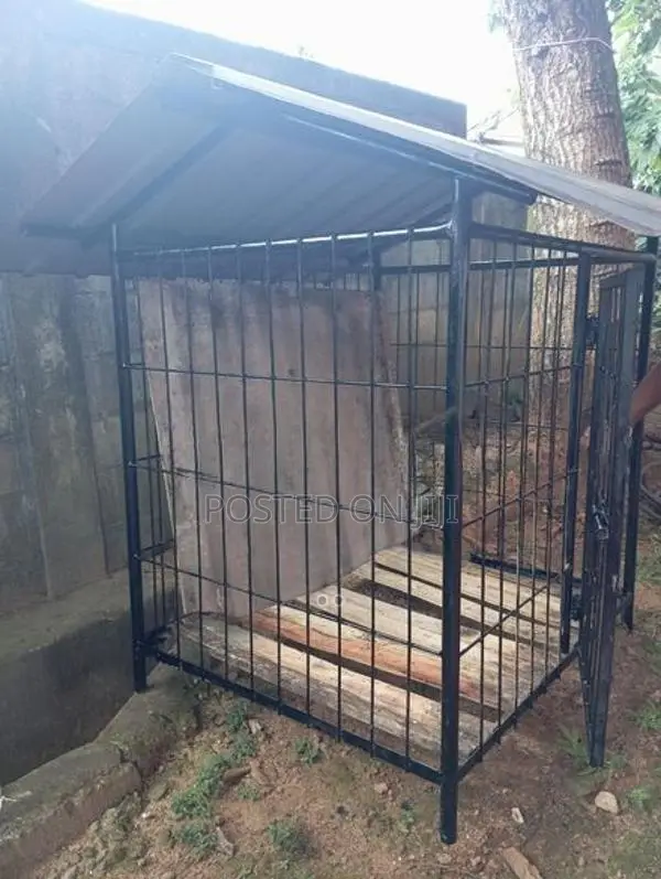 Dog Cages