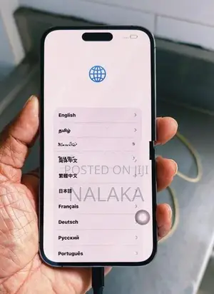 iPhone 14 Pro Max Display