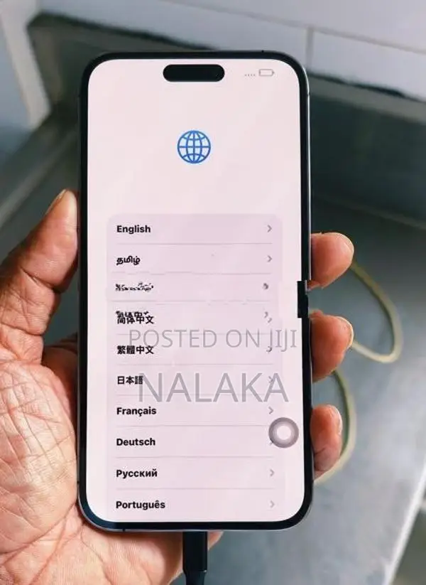 iPhone 14 Pro Max Display