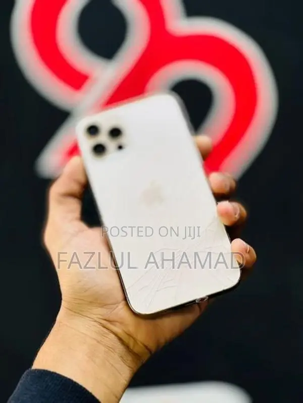Apple iPhone 12 Pro 256GB (Used)