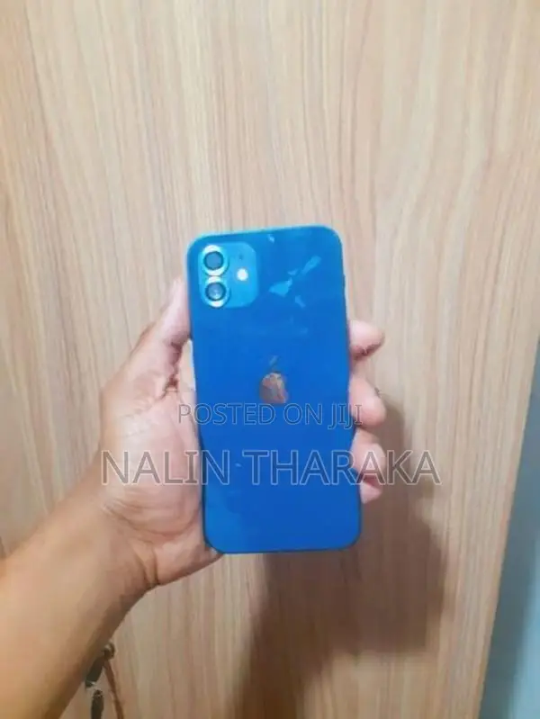 Apple iPhone 12 (Used)