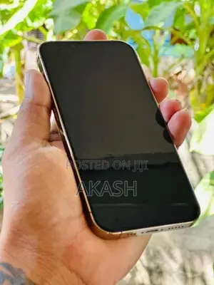 Apple iPhone 13 Pro 128GB (Used)