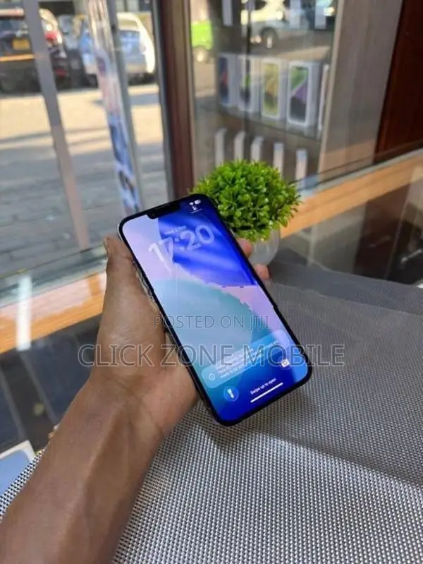 Apple iPhone 13 Pro Max (Used)