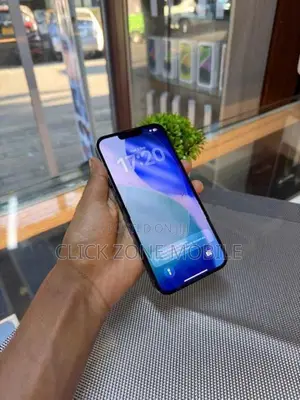 Apple iPhone 13 Pro Max (Used)