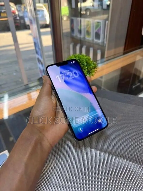 Apple iPhone 13 Pro Max (Used)