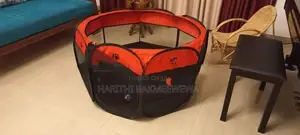 Shih Tzu Puppy + Supplies