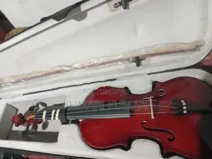 Violin