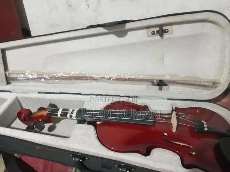 Violin
