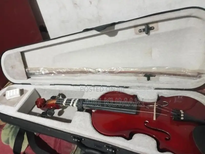 Violin