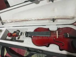 Violin