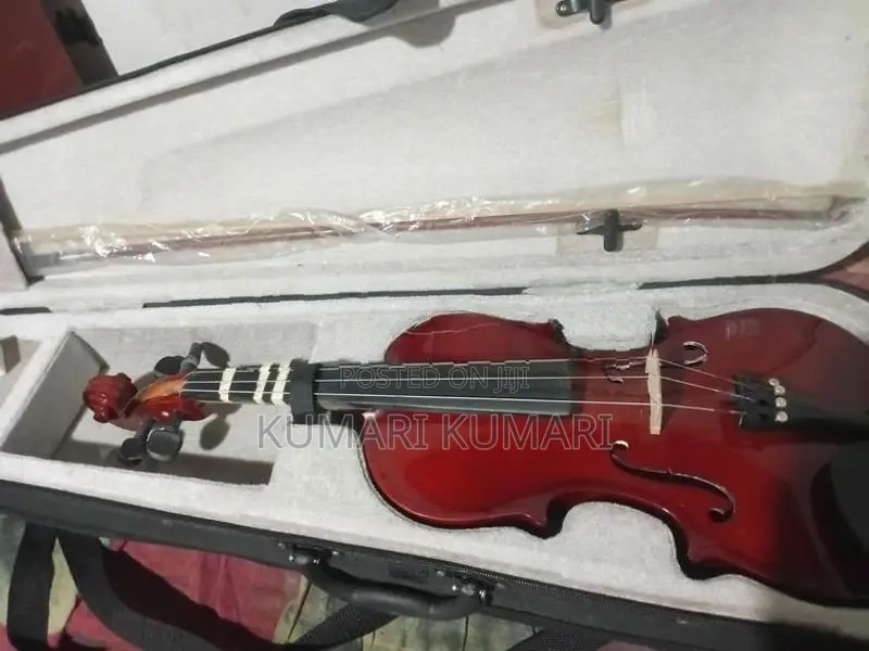 Violin