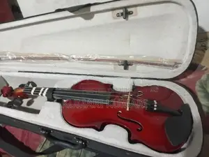 Violin