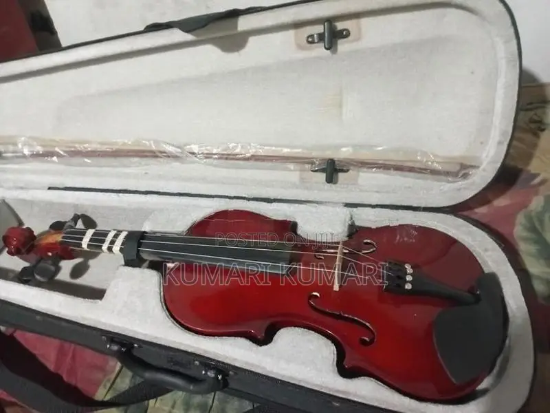Violin