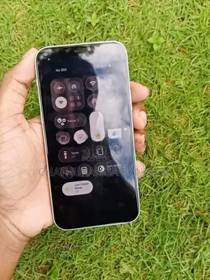 Apple iPhone 12 (Used)