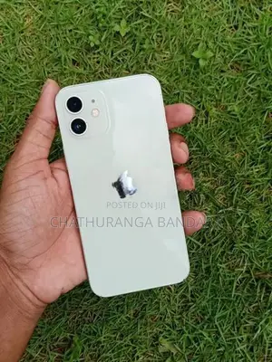 Apple iPhone 12 (Used)