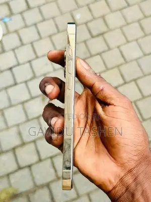 Apple iPhone 13 Pro (Used)