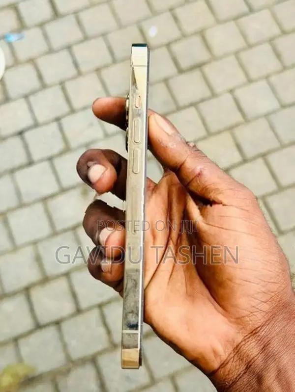 Apple iPhone 13 Pro (Used)