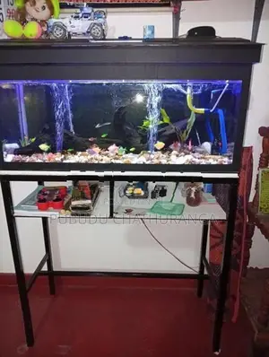මසුන් සමග ටැංකිය