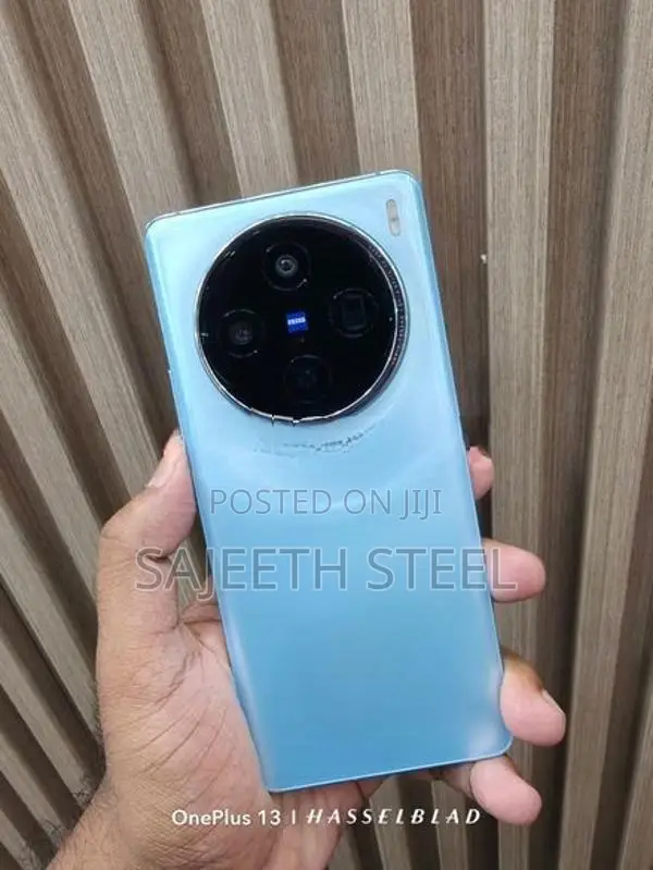 Vivo X100 24GB 256GB (Used)