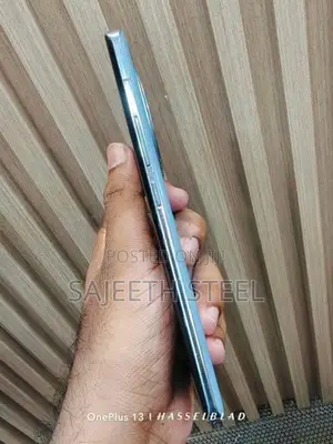 Vivo X100 24GB 256GB (Used)