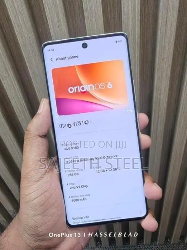 Vivo X100 24GB 256GB (Used)
