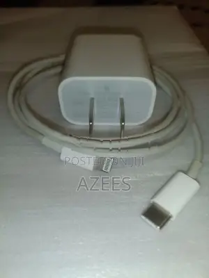 Apple C to Lightning Cable with 20w adapter