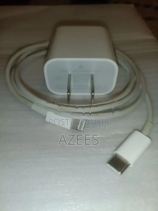 Apple C to Lightning Cable with 20w adapter