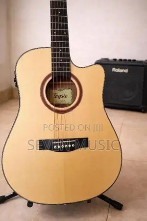Semi Acoustic Guitar