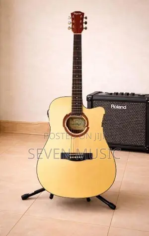 Semi Acoustic Guitar