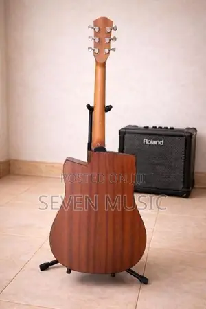 Semi Acoustic Guitar