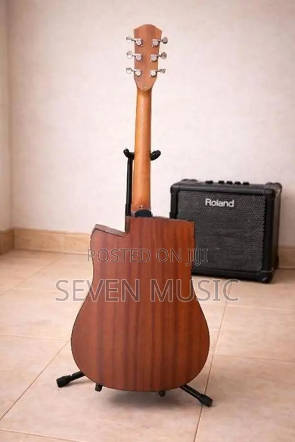 Semi Acoustic Guitar
