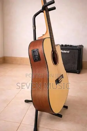 Semi Acoustic Guitar