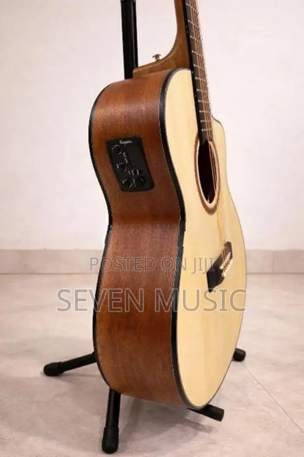 Semi Acoustic Guitar