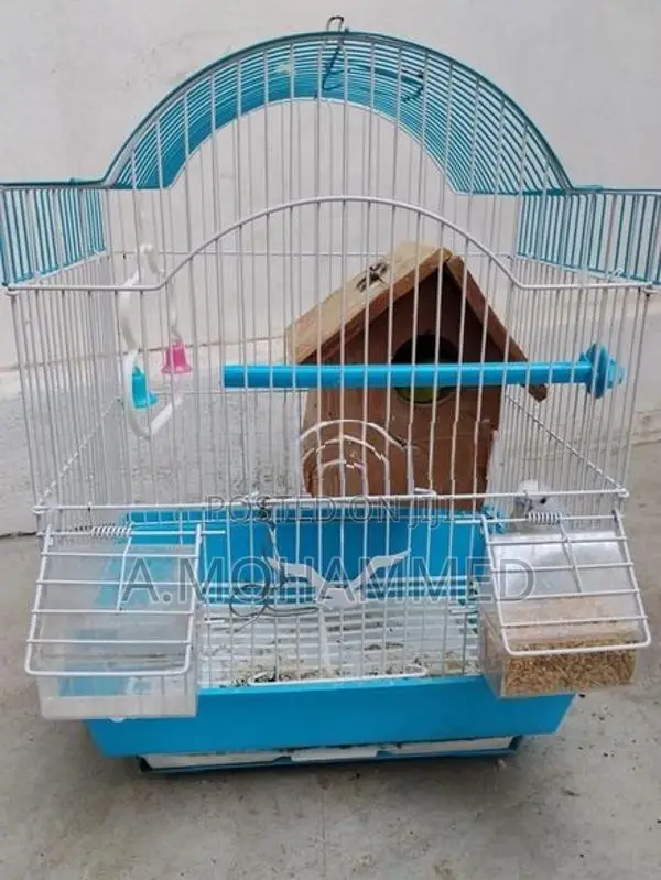 Love Birds