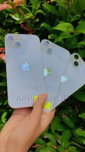 Apple iPhone 13 256GB (Used)