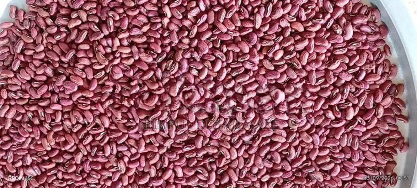 මස් මෑ බීජ