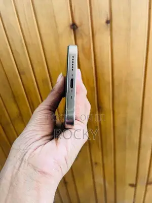 Apple iPhone 16 Pro Max 256GB (Used)