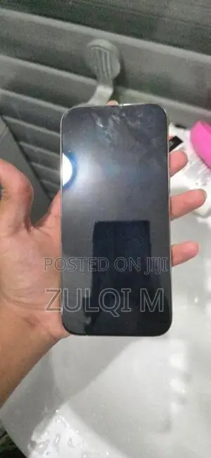 Apple iPhone 16 Pro Max (Used)
