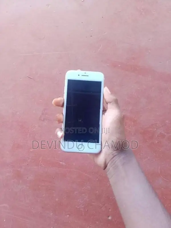 Apple iPhone 7 (Used)