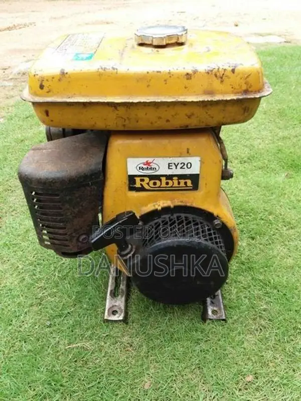 Robin Engine - EY 20